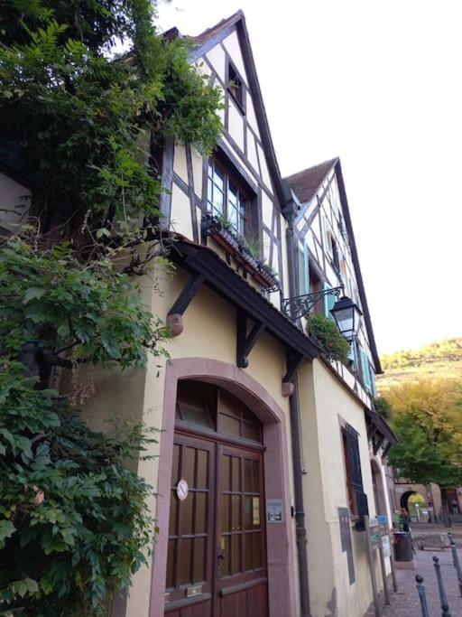S'Gleina Gleck, In The Heart Of A Wine City, Charmant Studio 1 Piece Et 1 Salle De Bain Kaysersberg-Vignoble Exterior foto