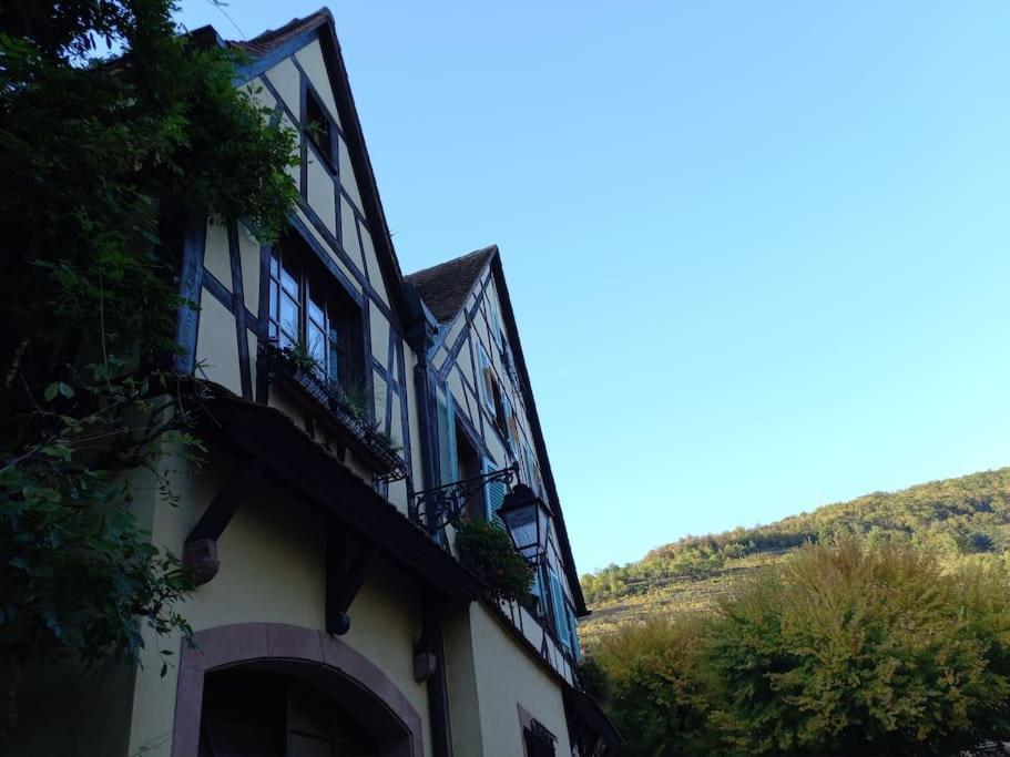 S'Gleina Gleck, In The Heart Of A Wine City, Charmant Studio 1 Piece Et 1 Salle De Bain Kaysersberg-Vignoble Exterior foto