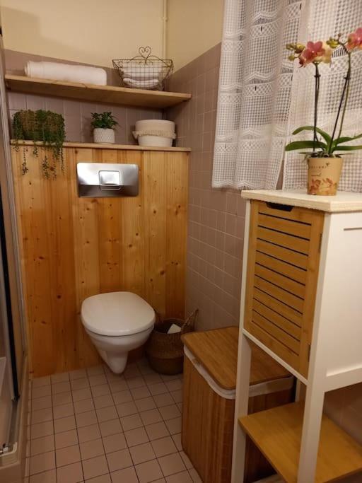 S'Gleina Gleck, In The Heart Of A Wine City, Charmant Studio 1 Piece Et 1 Salle De Bain Kaysersberg-Vignoble Exterior foto