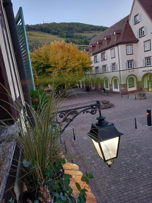 S'Gleina Gleck, In The Heart Of A Wine City, Charmant Studio 1 Piece Et 1 Salle De Bain Kaysersberg-Vignoble Exterior foto