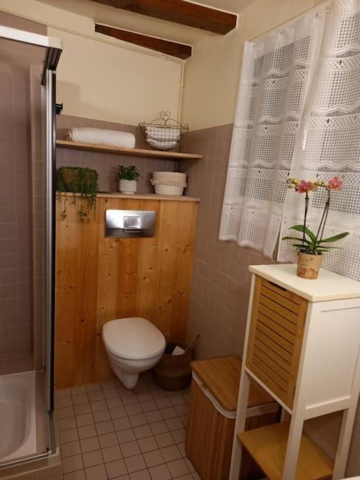 S'Gleina Gleck, In The Heart Of A Wine City, Charmant Studio 1 Piece Et 1 Salle De Bain Kaysersberg-Vignoble Exterior foto