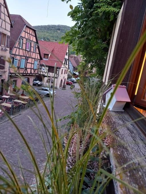 S'Gleina Gleck, In The Heart Of A Wine City, Charmant Studio 1 Piece Et 1 Salle De Bain Kaysersberg-Vignoble Exterior foto